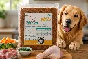 Bienvenido a pets.webp